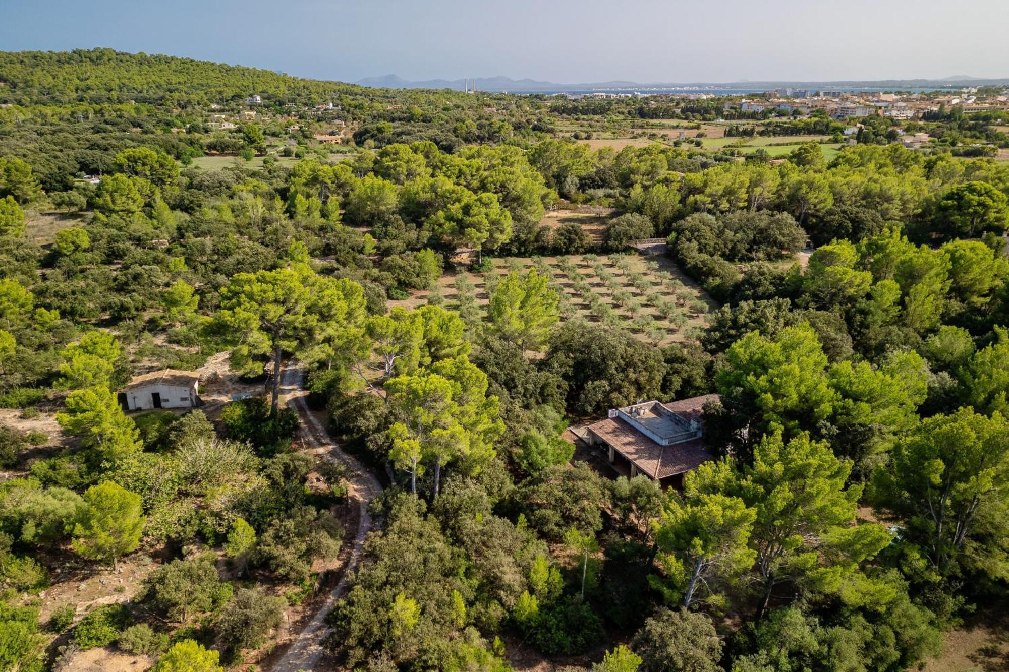 Casa Simo By Mallorca Selection Alcudia (Mallorca)