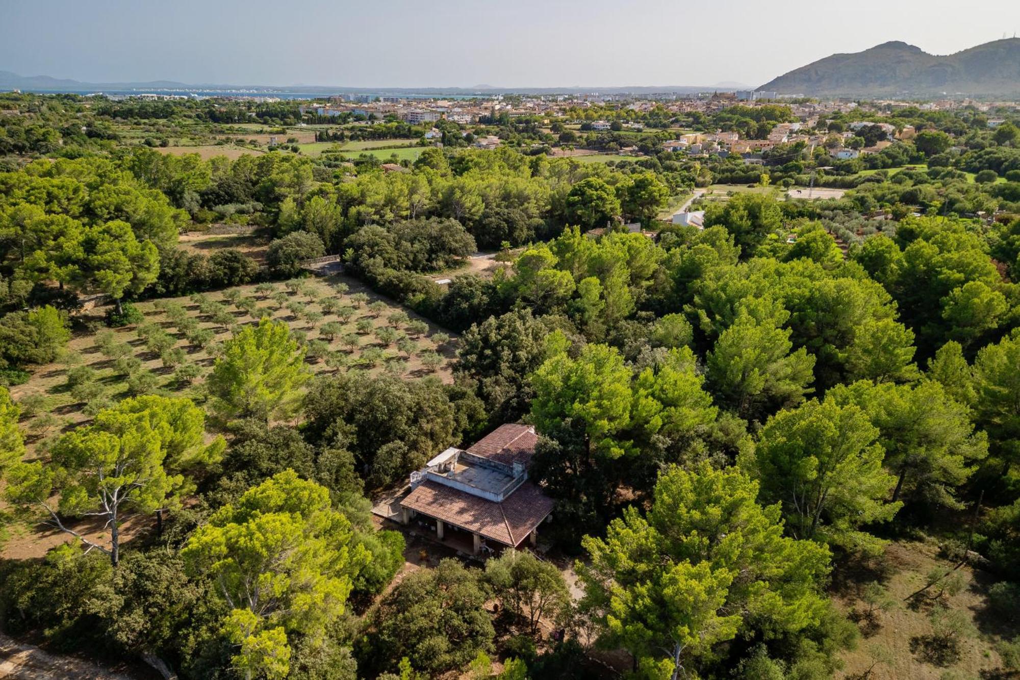 Casa Simo By Mallorca Selection Holiday home Alcudia (Mallorca)