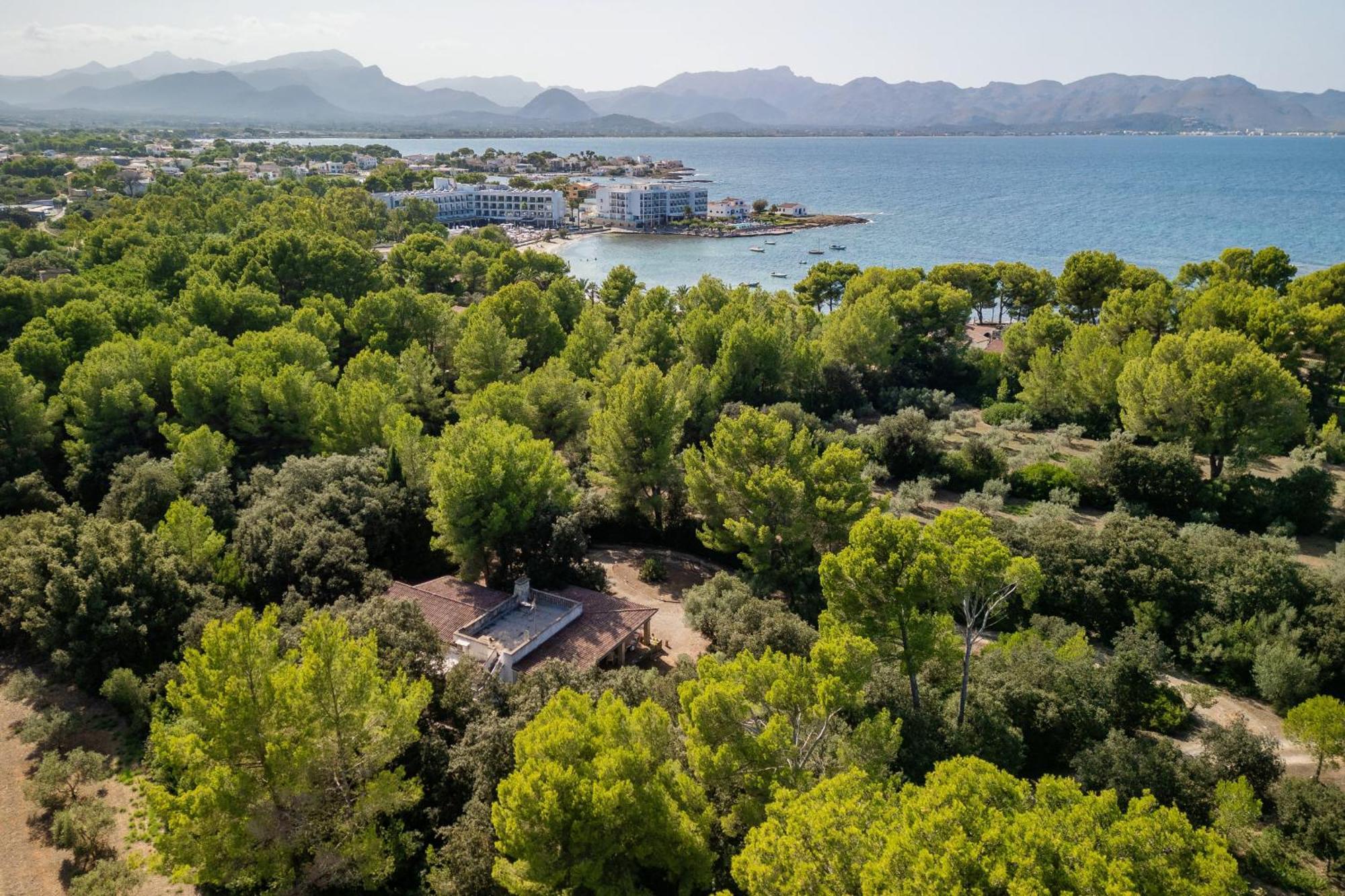 Casa Simo By Mallorca Selection * Alcudia (Mallorca)